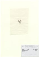 藏品(長枝沙菜)的圖片